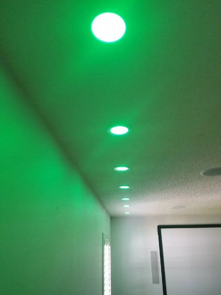 Green LED ceiling lighting